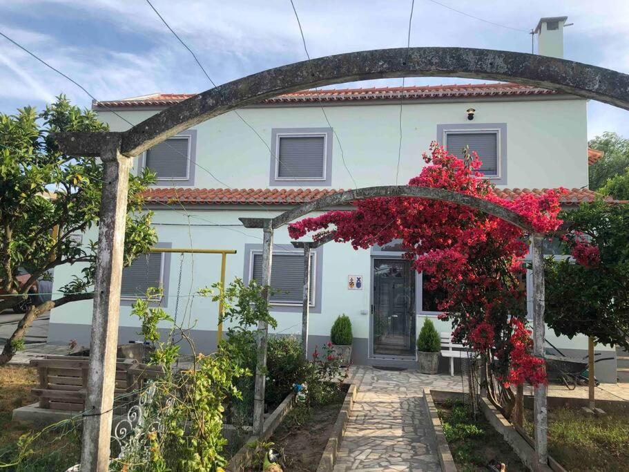 Casa Almenara Apartment Quinta do Anjo Luaran gambar